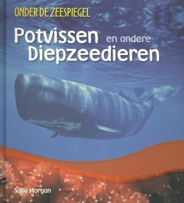 Potvissen en andere diepzeedieren 