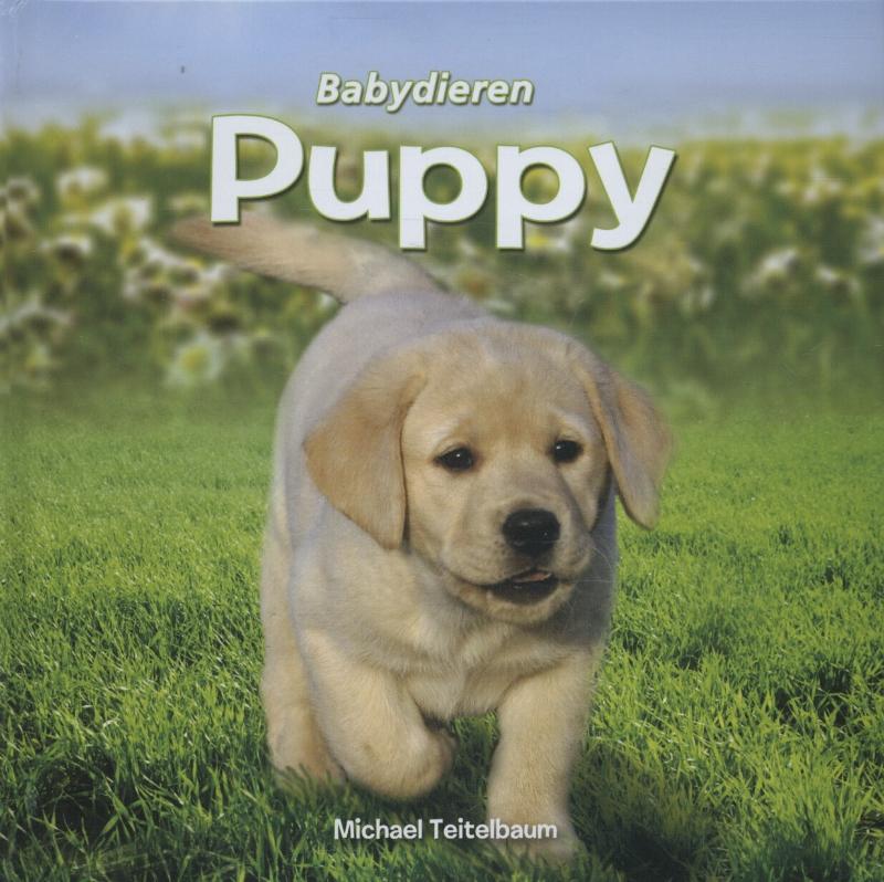 Puppy 