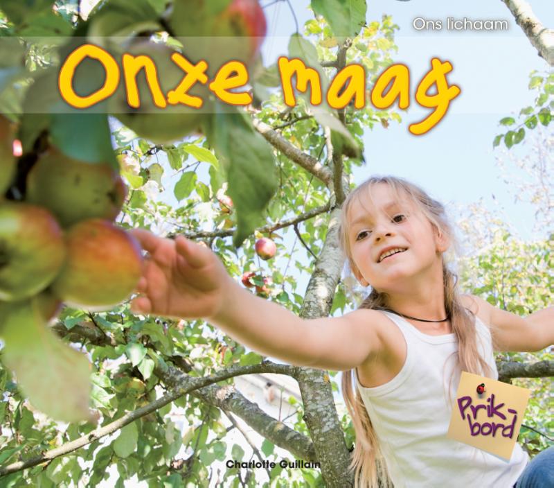 Onze maag 