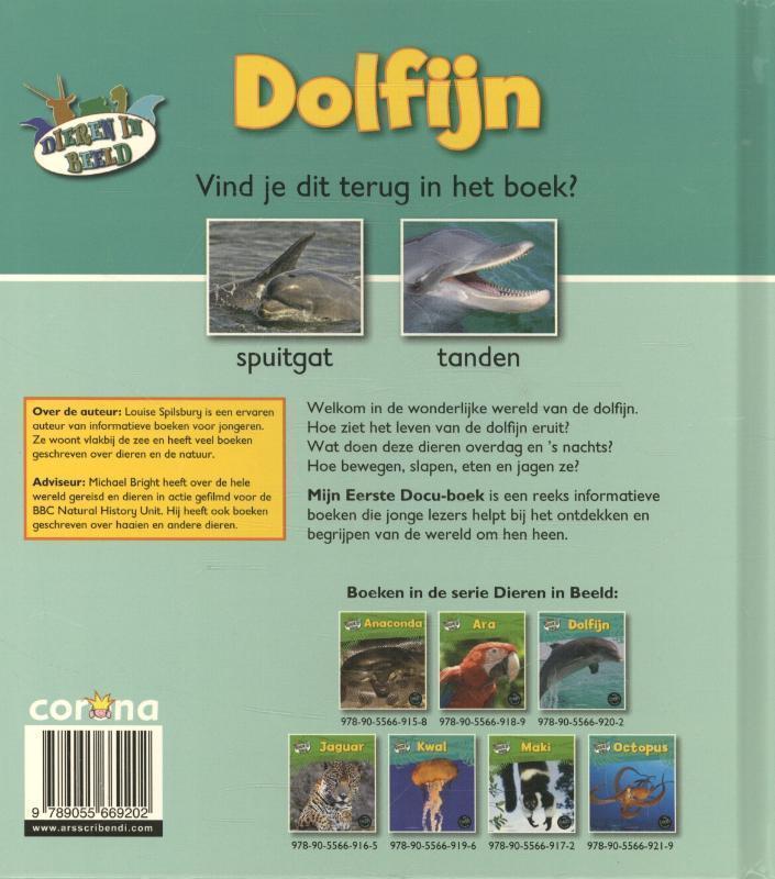 Dolfijn 