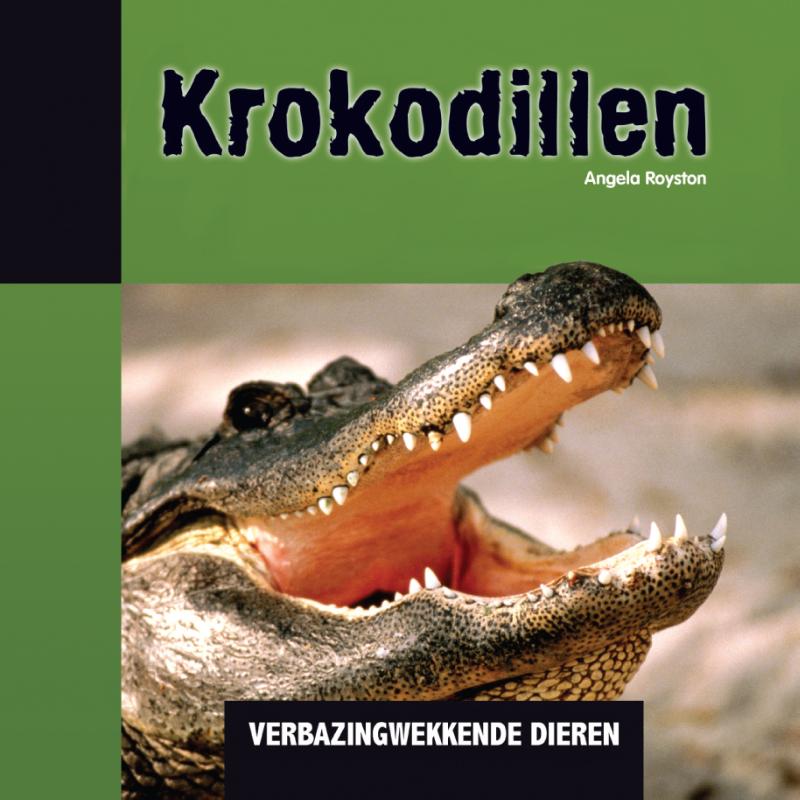 Krokodillen 