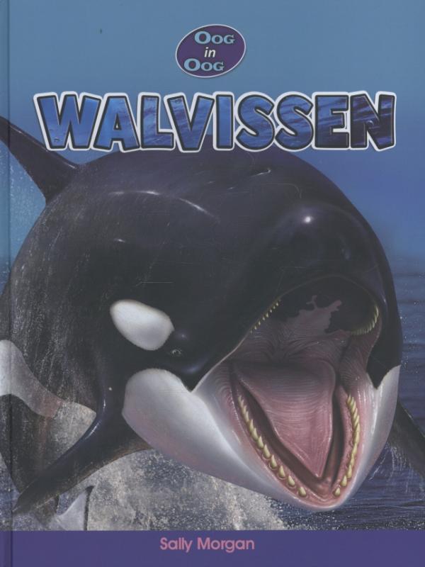 Walvissen 