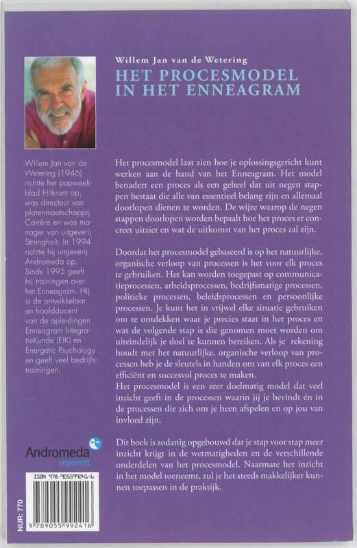 Het procesmodel in het Enneagram
