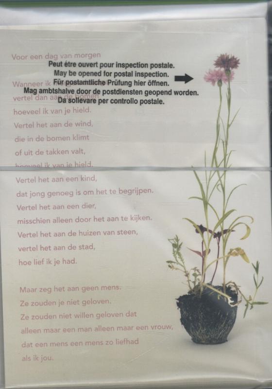 Poeziekaart Plint H. Andreus Voor een dag van set van 10 met enveloppen