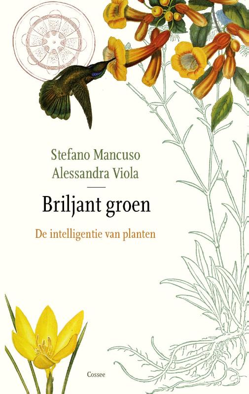 Briljant groen de intelligentie van planten