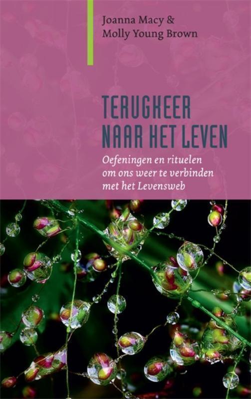 Terugkeer naar het leven oefeningen en rituelen om ons weer te verbinden