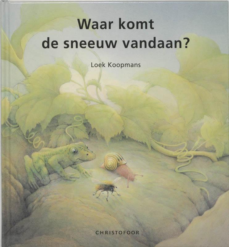 Waar komt de sneeuw vandaan? 