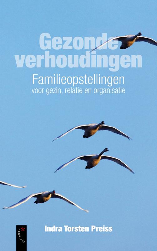 Gezonde verhoudingen familieopstellingen voor gezin, relatie en organisatie