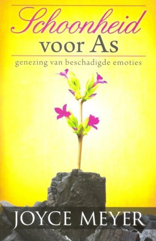 Schoonheid voor as genezing van beschadigde emoties