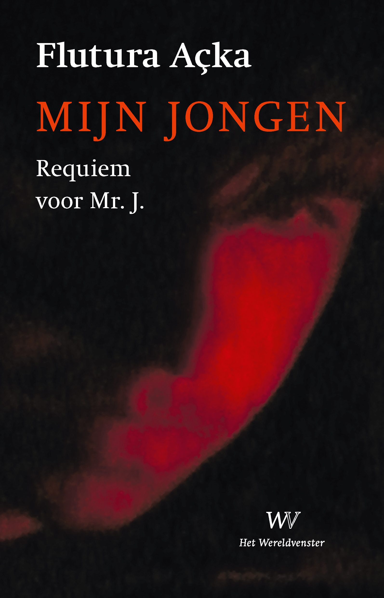 Mijn jongen Requiem voor Mr. J.