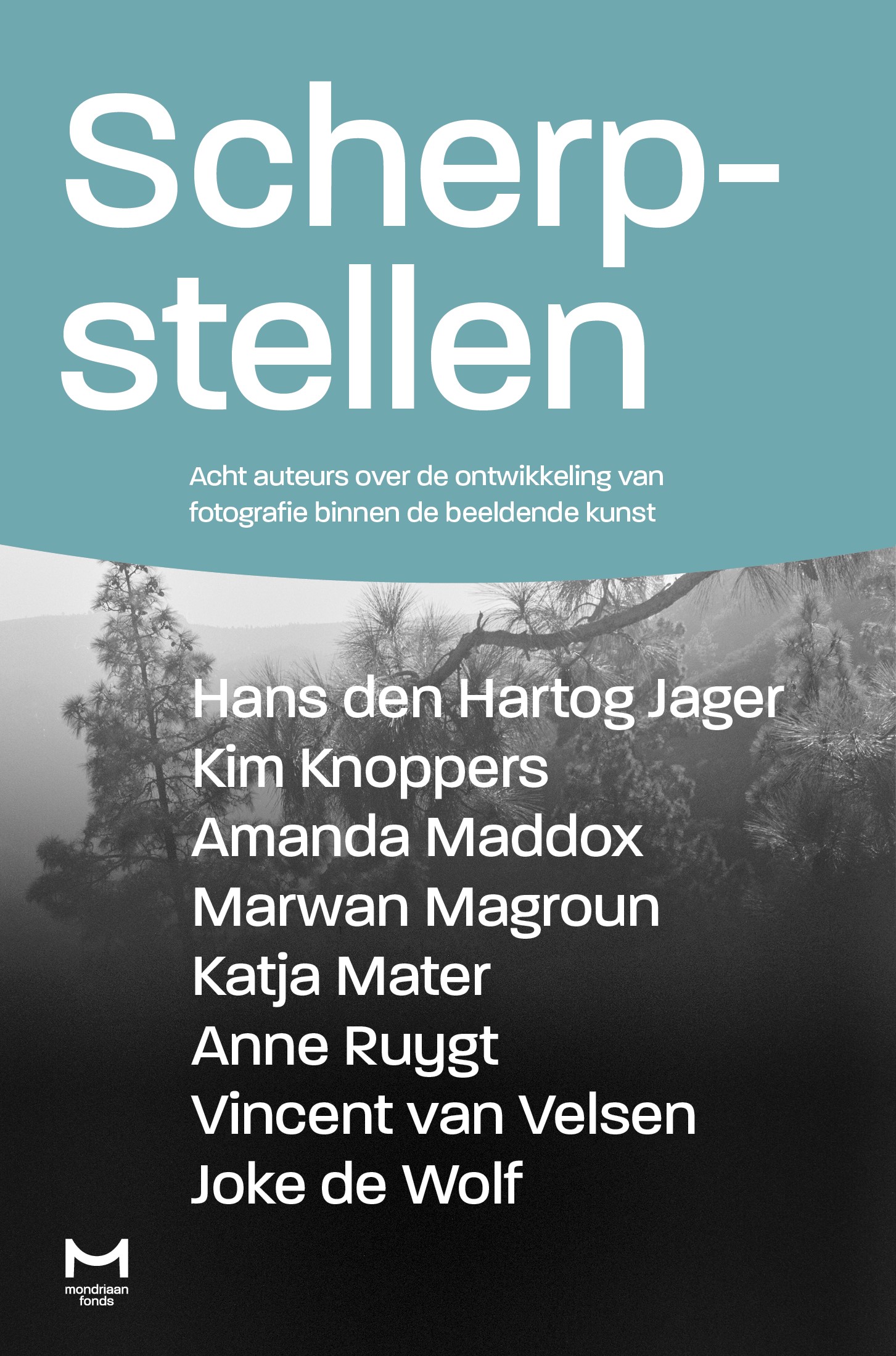 Scherpstellen Acht auteurs over de ontwikkeling van fotografie binnen de beeldende kunst