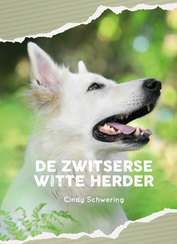 De Zwitserse witte herder 