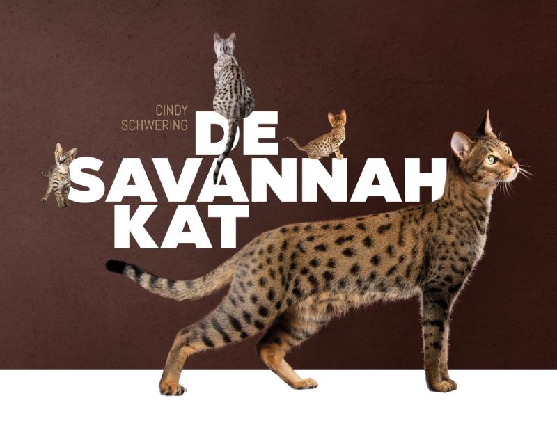 De Savannah kat 
