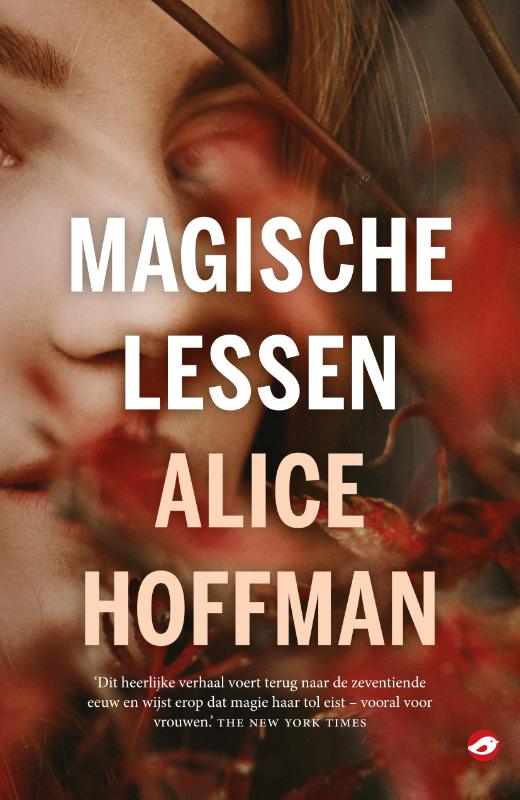 Magische lessen 