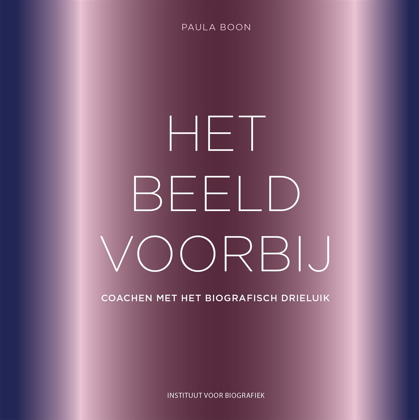 Het beeld voorbij Coachen met het biografisch drieluik