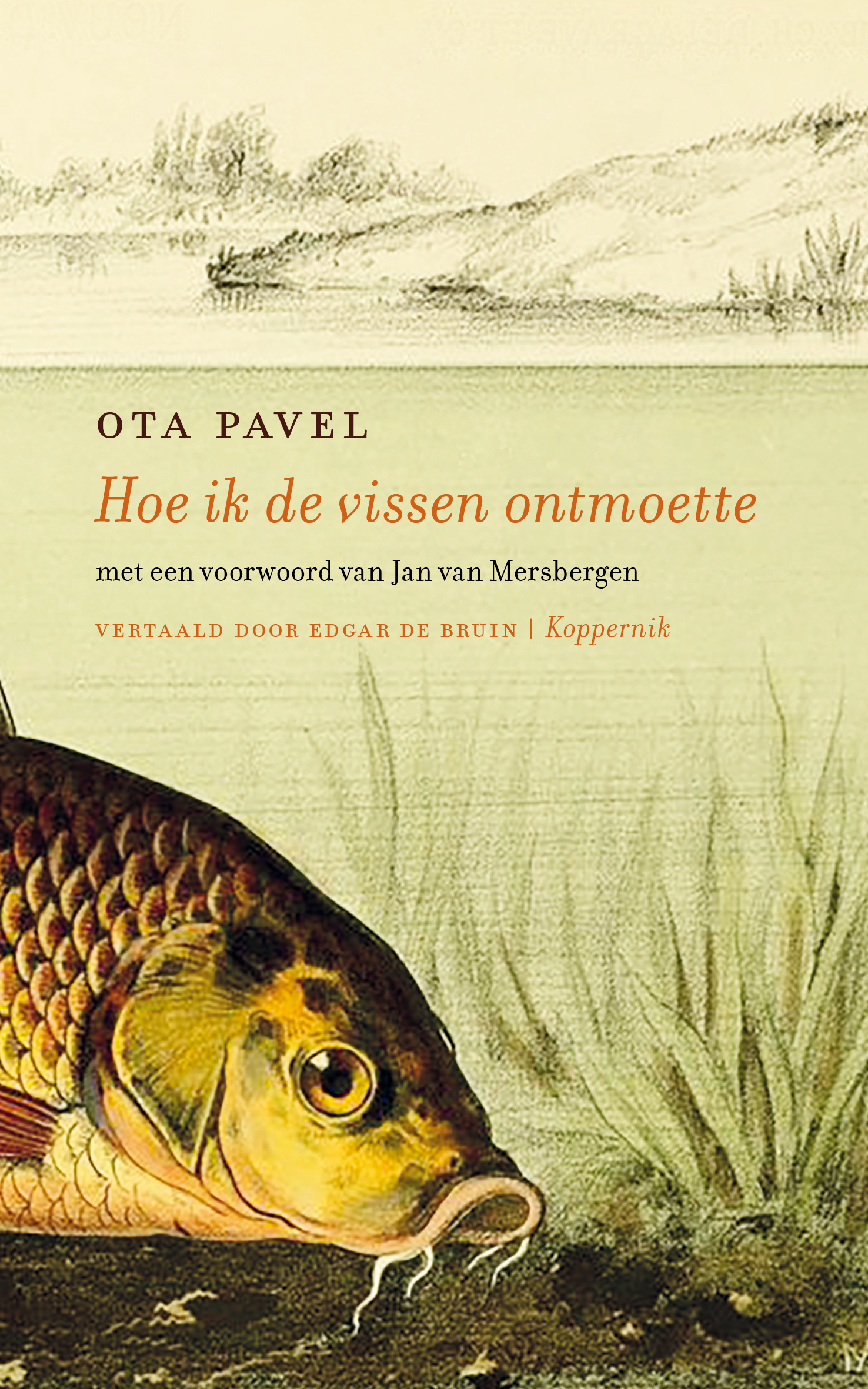 Hoe ik de vissen ontmoette 