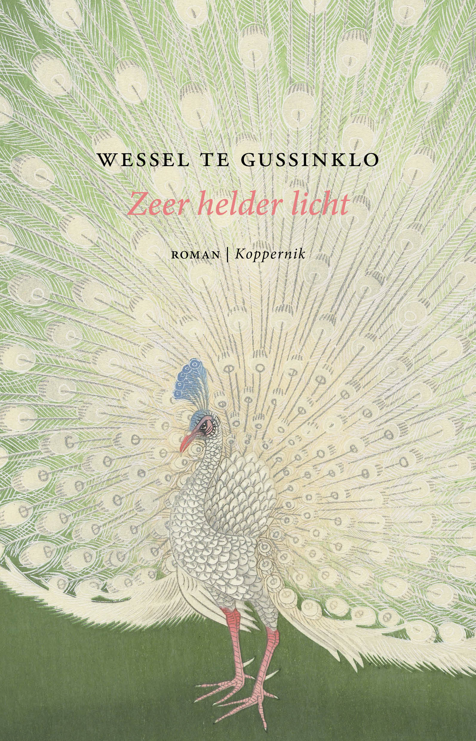 Zeer helder licht 