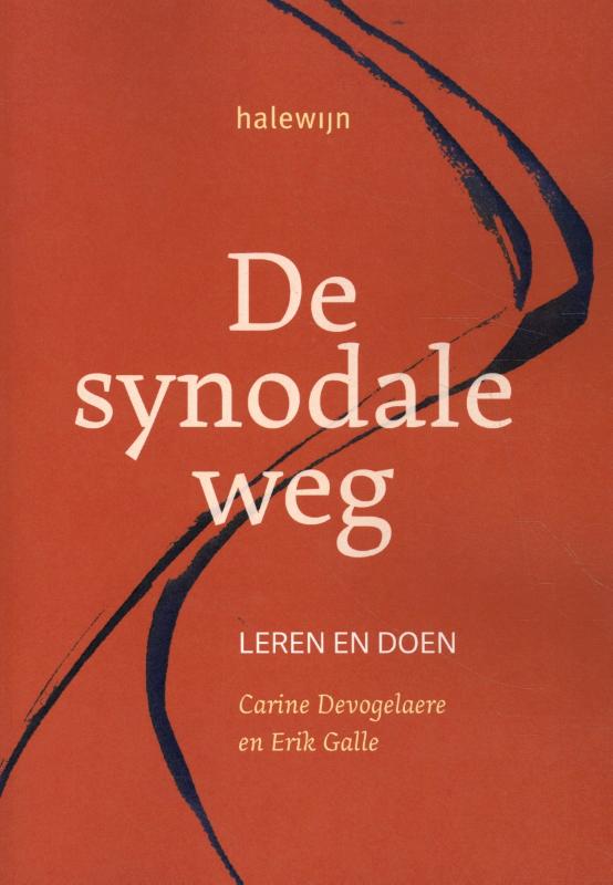 De synodale weg Leren en doen