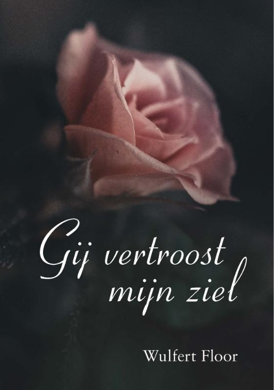 Gij vertroost mijn ziel 