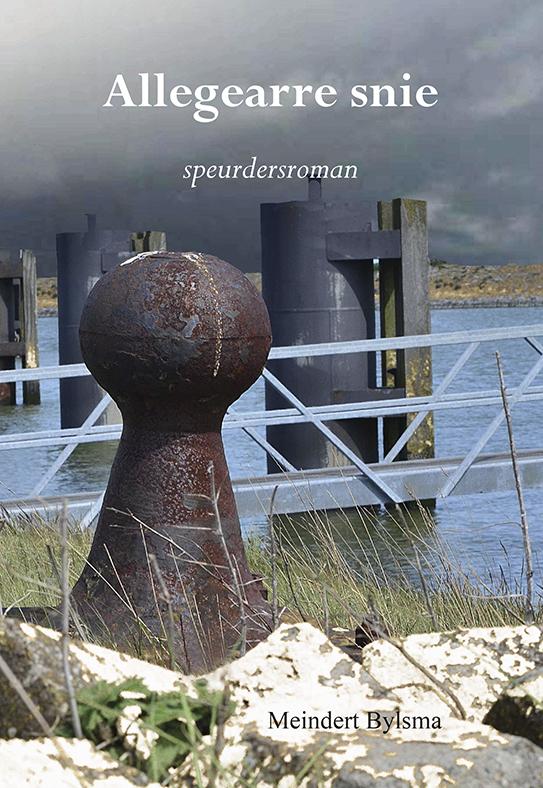 Allegearre snie speurdersroman