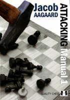 Attacking Manual: Basic Principles: v. 1 