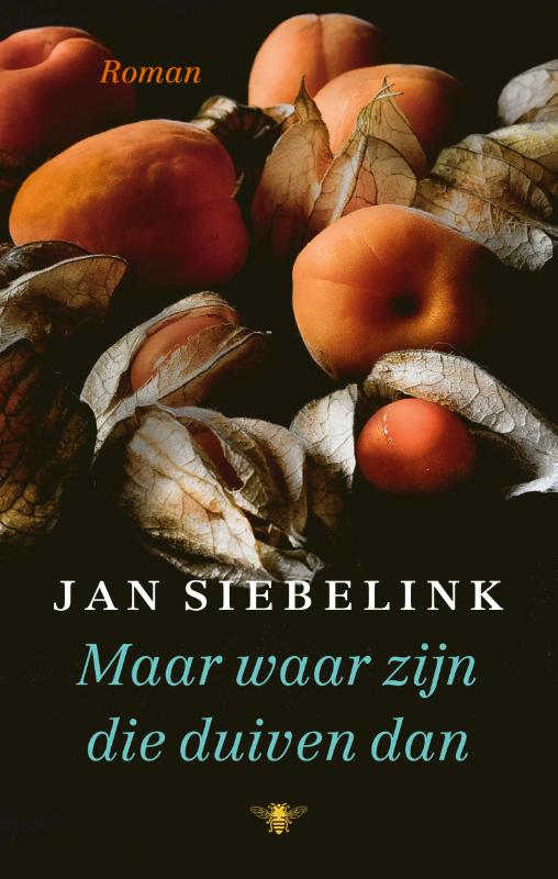 Maar waar zijn die duiven dan 