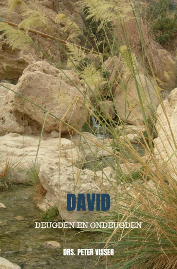 David deugden en ondeugden