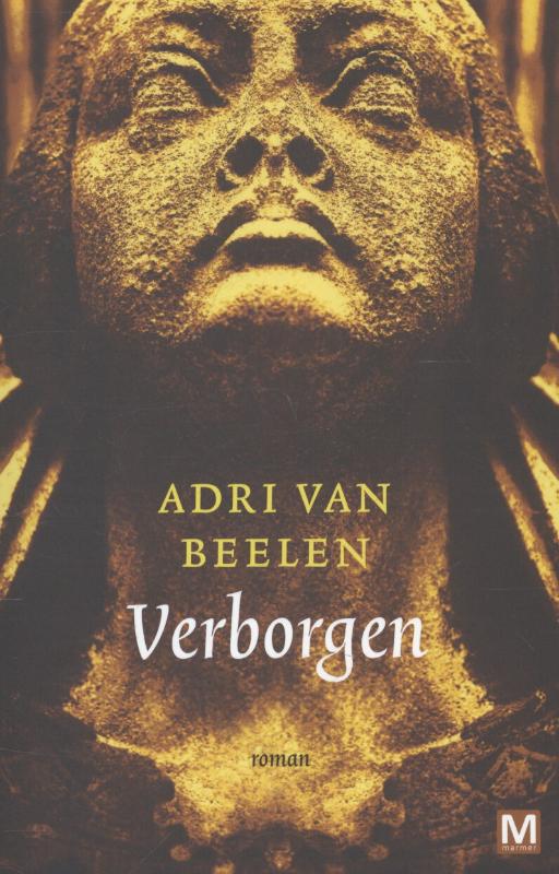 Verborgen roman