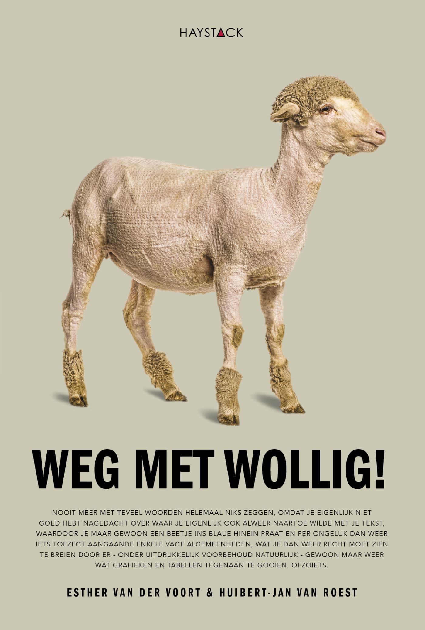 Weg met wollig Nooit meer heel veel woorden gebruiken, terwijl je eigenlijk niet precies weet wat je wil zeggen, en dat je dan maar door blijft praten omdat je je ongemakkelijk voelt