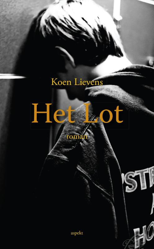 Het Lot roman