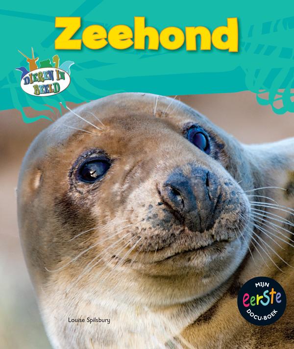 Zeehond 