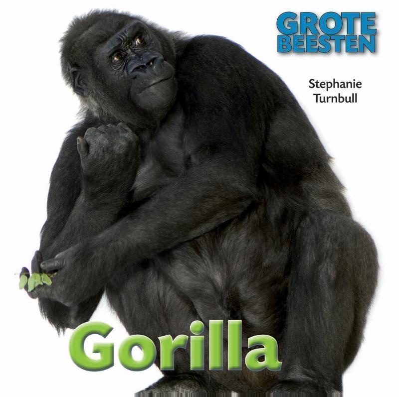 Gorilla 