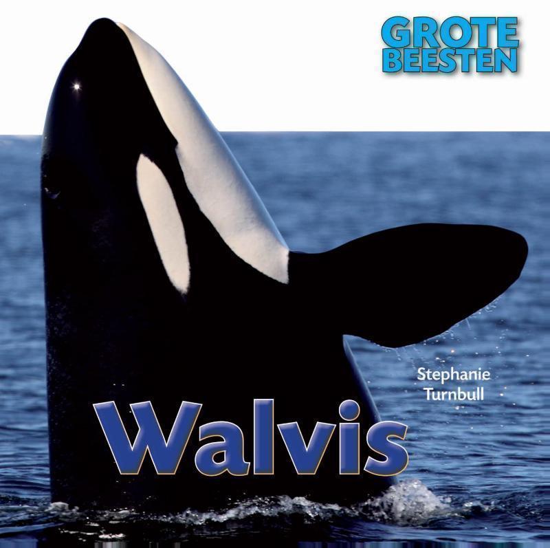 Walvis 