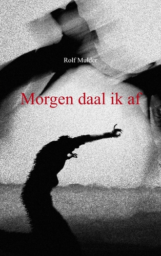 Morgen daal ik af 