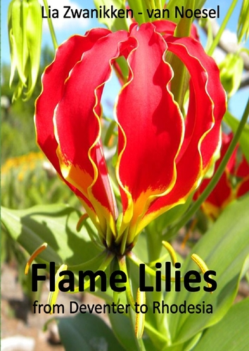 Flame Lilies from Deventer to Rhodesia