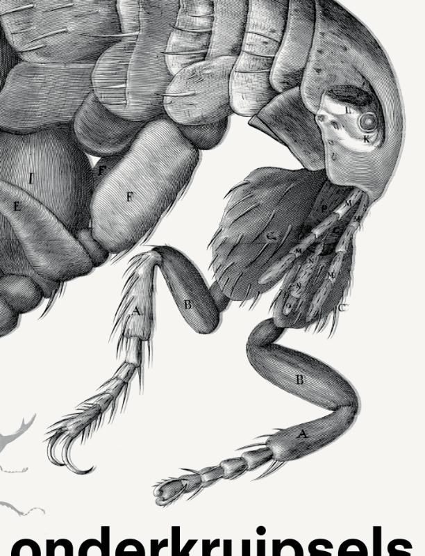 Onderkruipsels Verbeelding en waardering van insecten en andere beestjes in kunst en wetenschap