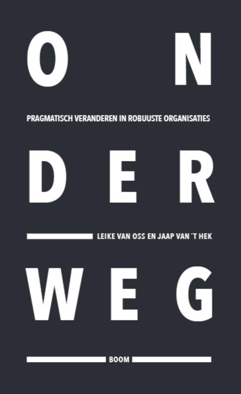 Onderweg pragmatisch veranderen in robuuste organisaties