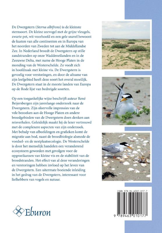 Reizen langs de waterkant E ecologie van de dwergstern sterna albifrons op