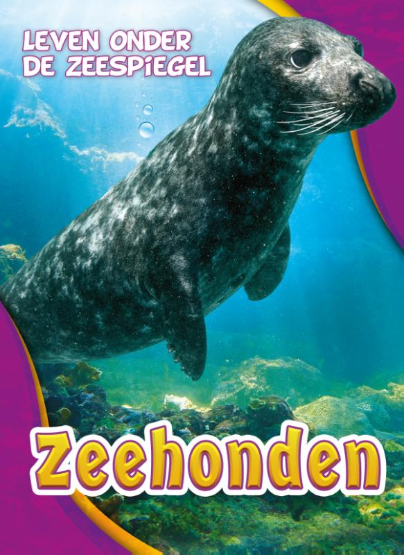 Zeehonden 