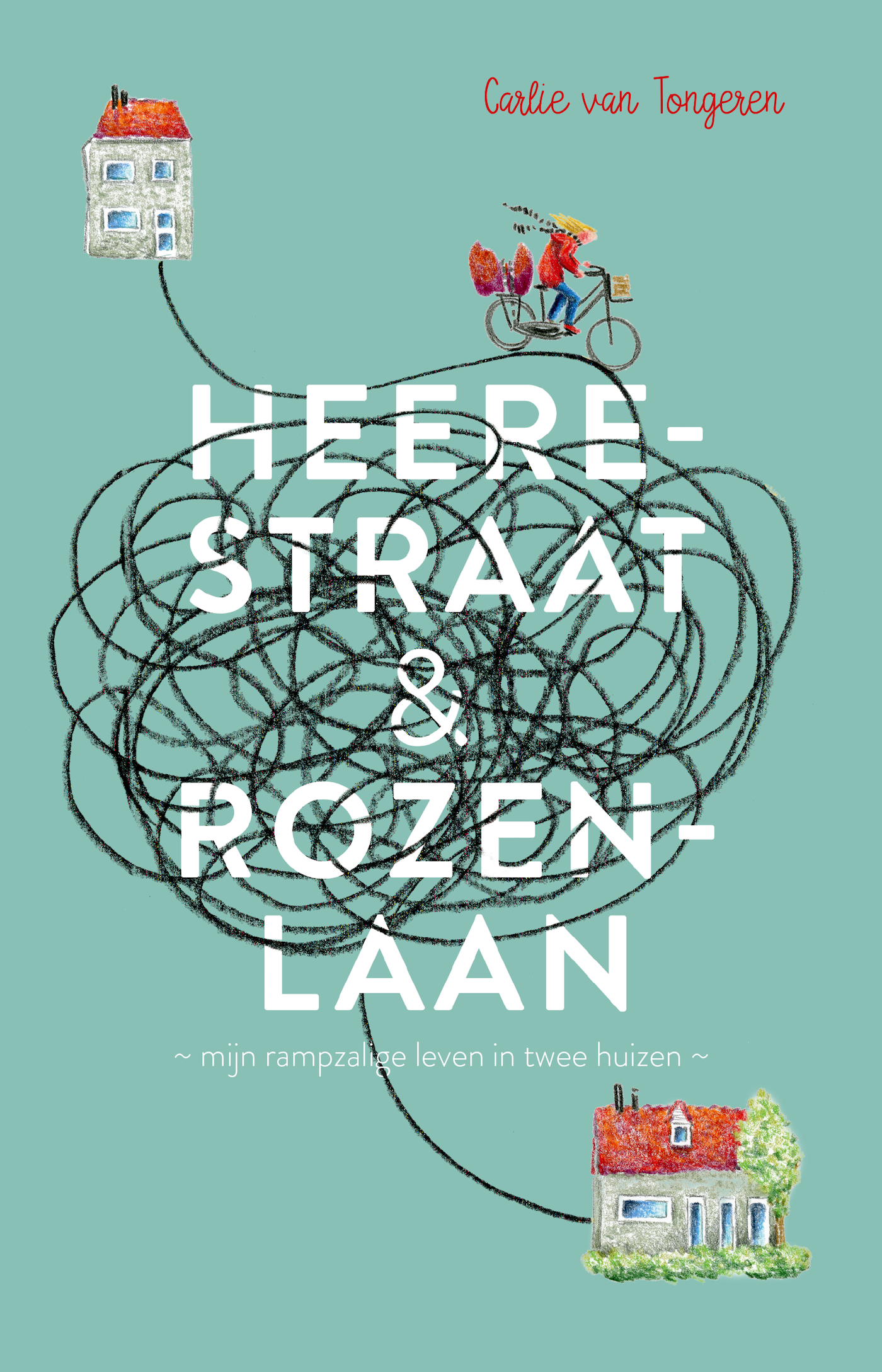 Heerestraat  & Rozenlaan mijn rampzalige leven in twee straten