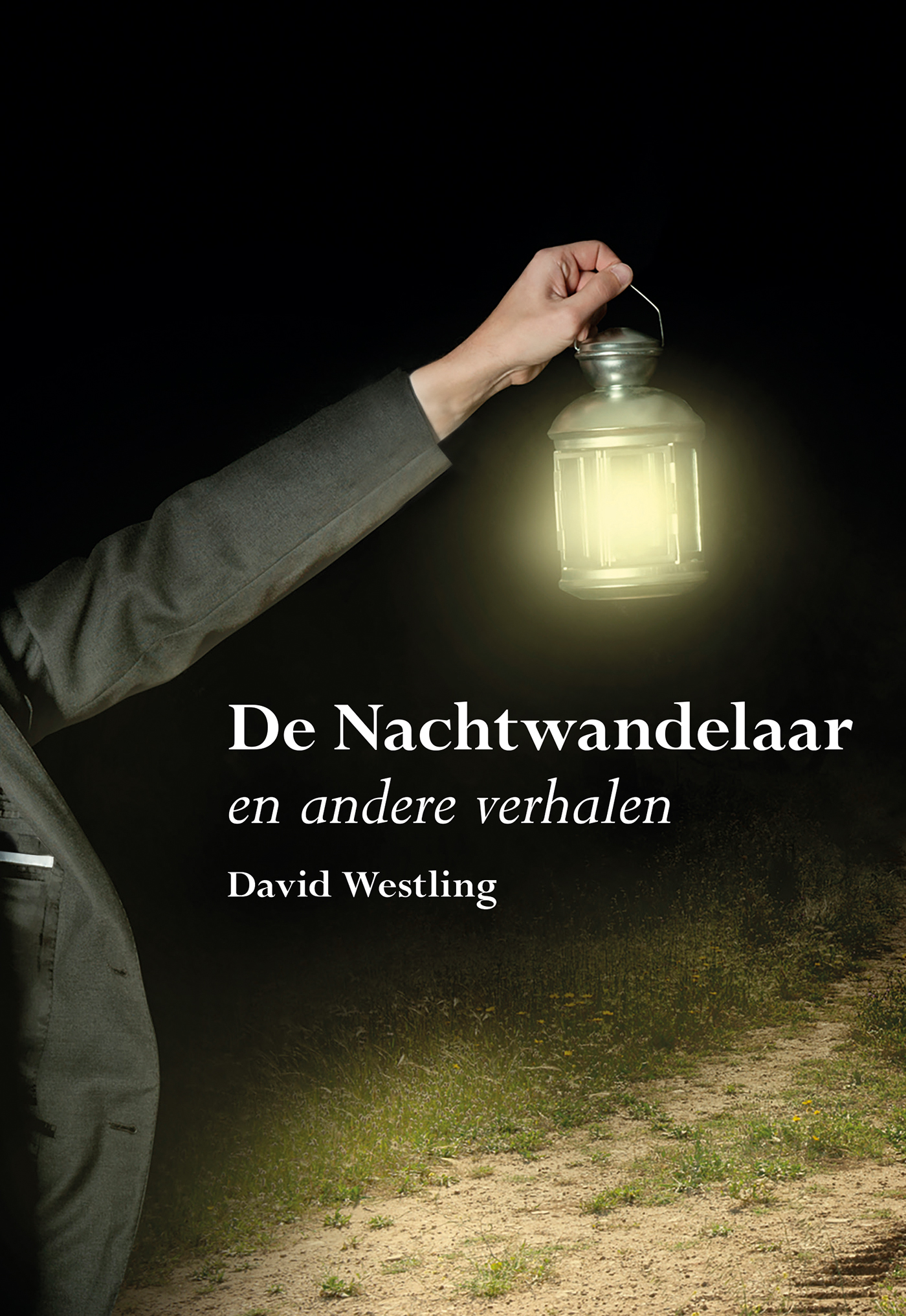 De Nachtwandelaar en andere verhalen 