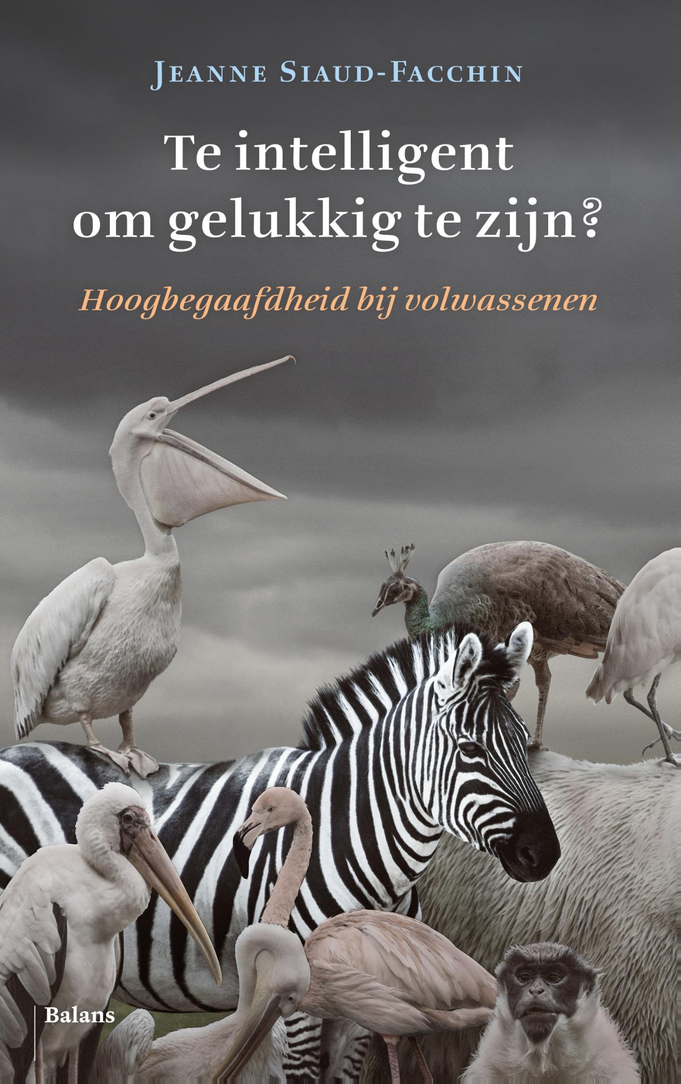 Te intelligent om gelukkig te zijn? Hoogbegaafdheid bij volwassenen