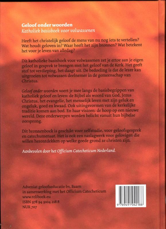 Geloof onder woorden katholiek basisboek voor volwassenen
