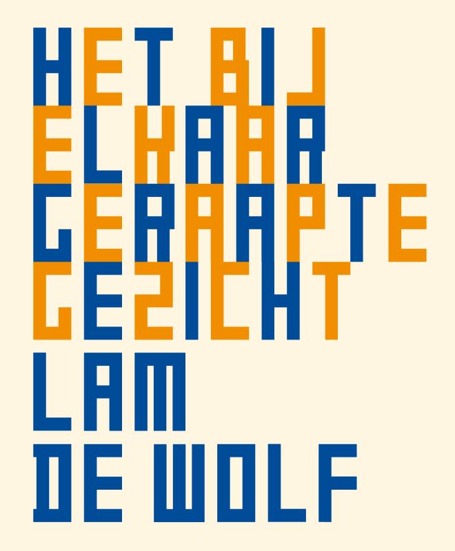Het bij elkaar geraapte gezicht 