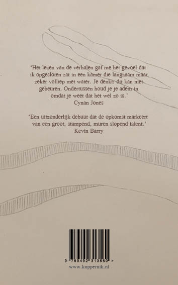 Veenland 