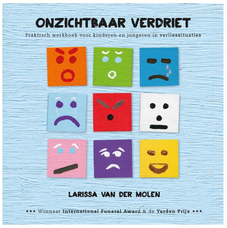 Onzichtbaar verdriet Praktisch werkboek voor kinderen en jongeren in verliessituaties
