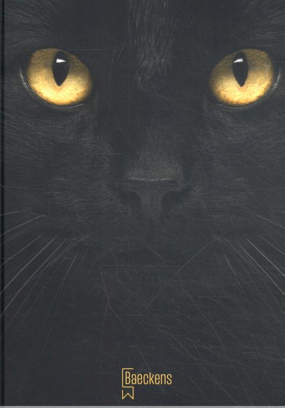 WarriorCats 15 jaar Baeckens