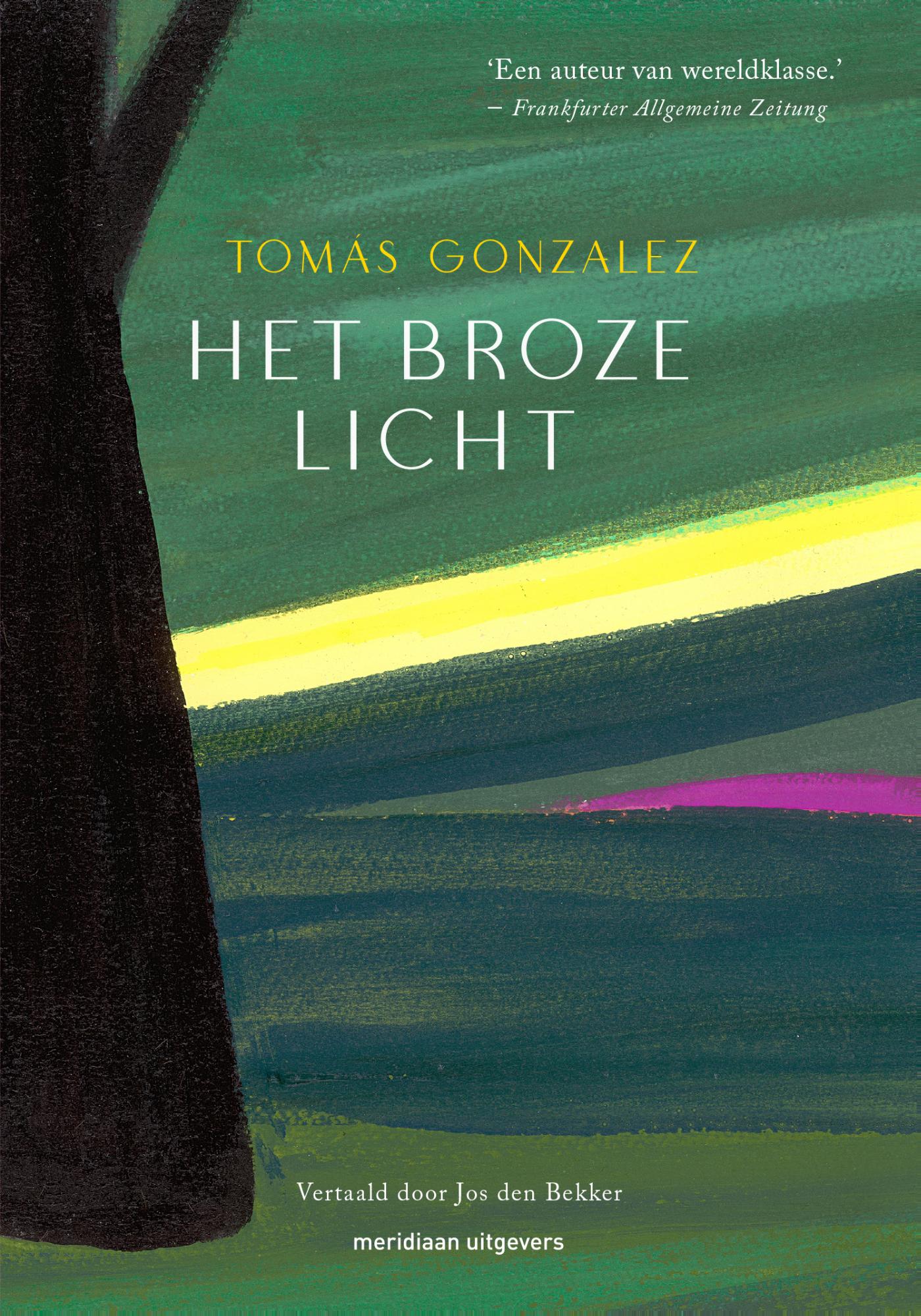 Het broze licht 