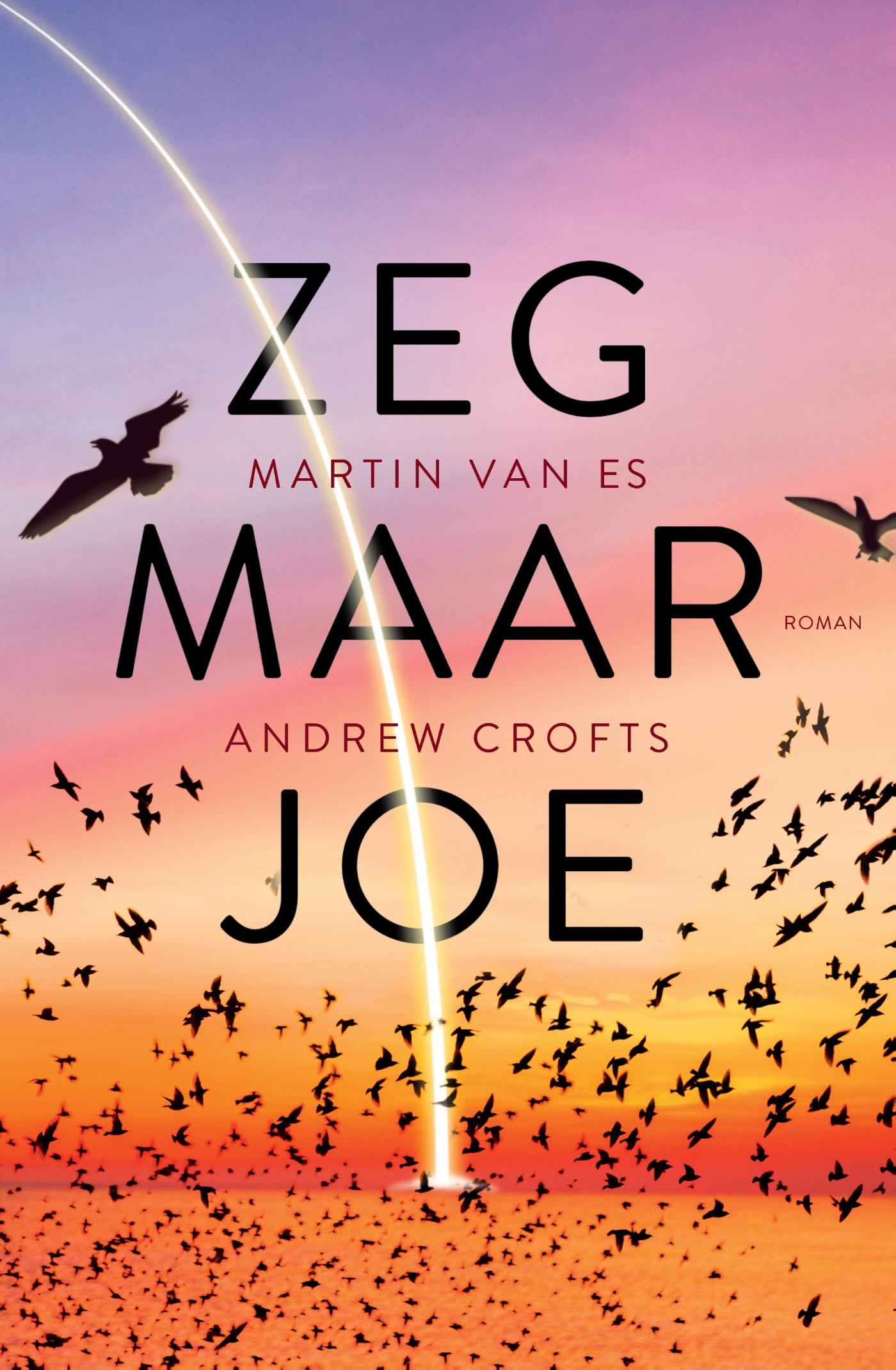 Zeg maar Joe 