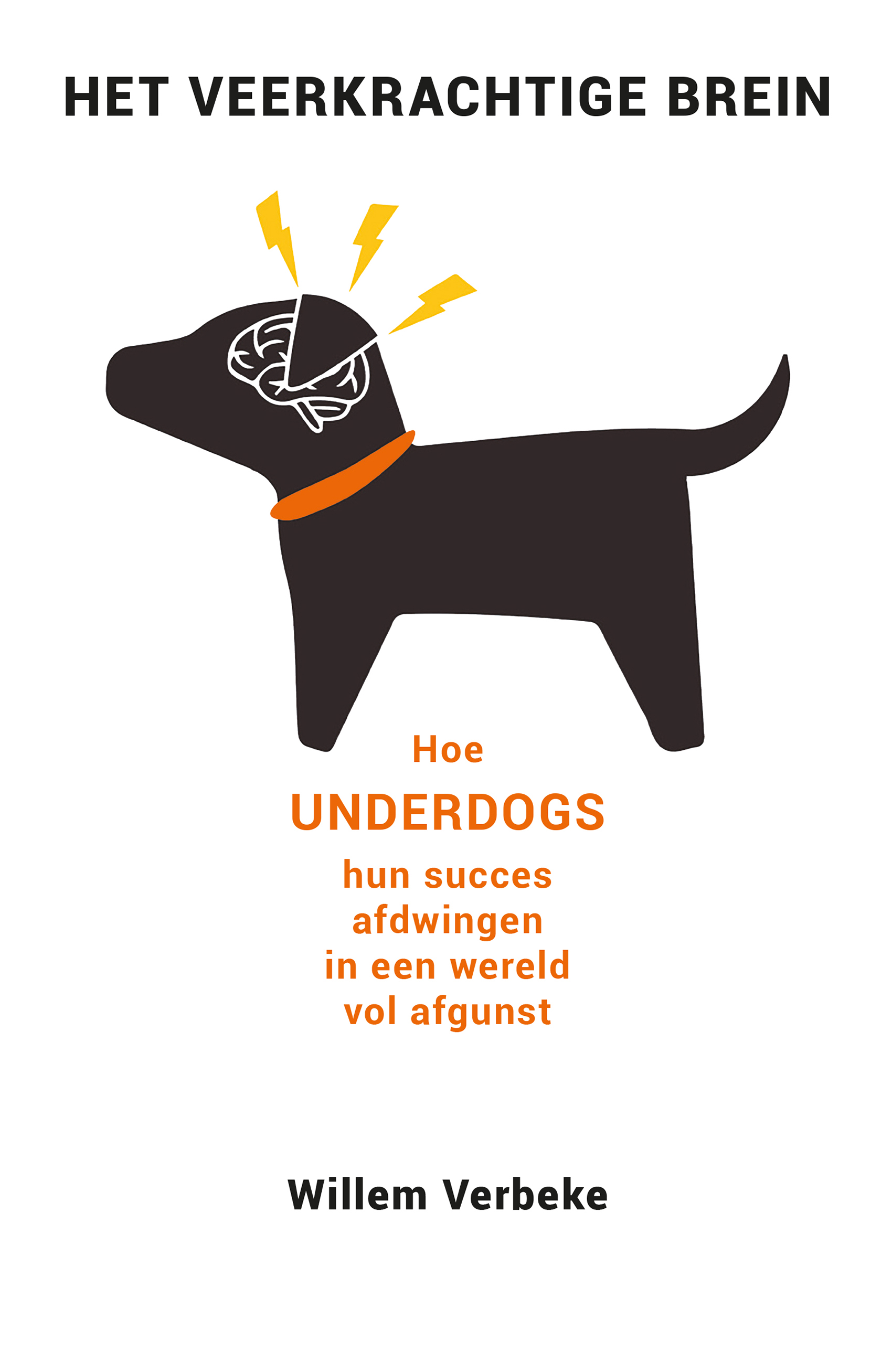 Het veerkrachtige brein Hoe underdogs hun succes afdwingen in een wereld
